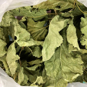 Direct du Vietnam: feuilles de mûrier séchées pour le thé avec prix d'usine - Product Image 2