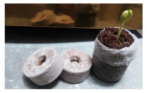 100% tourbe de coco naturelle-tourbe de fibre de noix de coco-granulés de tourbe de coco de haute qualité avec des prix bon marché du Vietnam - Product Image 2