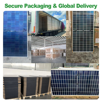Panneau solaire monocristallin TW 600W 650W 700W 750W 770W, module photovoltaïque haute efficacité pour station commerciale
