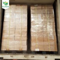 Vente en gros PHU-2024 de légumes surgelés piment frais IQF piment rouge congelé/piment congelé du Viet Nam