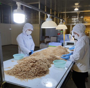 Crevettes séchées au soleil, matière première développée pour les mélanges secs et les cuisines de restaurants, ingrédient en provenance des routes commerciales du Vietnam - Product Image 6