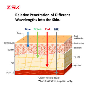 Oem Odm Golflengte Huisdiertherapie Pad Rode Led Infrarood Lichttherapie Apparaatriem Voor Pijnverlichting En Herstel - Product Image 3