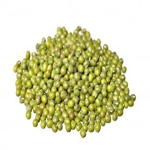 Frijoles Mung verdes al por mayor Frijoles Mung Vigna para exportación Frijoles Mung frescos y secos orgánicos y sin OGM disponibles para la venta - Product Image 5