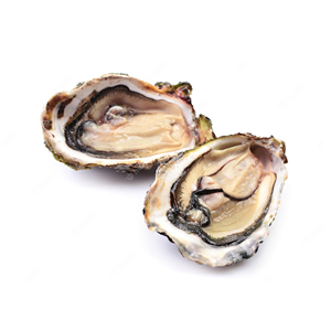Suministro a Granel de Ostras Chilenas Secas de Primera Calidad en Envase al Vacío para Distribuidores Globales de Mariscos - Product Image 3