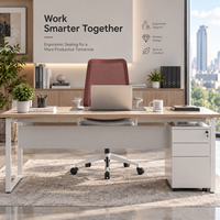 Chaise de bureau confortable en maille, pivotante, respirante, avec support lombaire ergonomique pour le travail quotidien au bureau