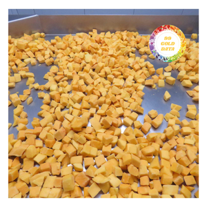 Mango Vietnamita Congelado en Rodajas con Conservación en Agua en Envases a Granel para Fabricantes de Alimentos y Productores de Bebidas en Todo el Mundo - Product Image 1