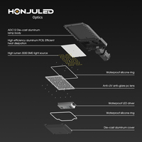 Kit de lampadaire LED HONJU SKD 100W, boîtier de lampe de type Shoebox, lentille optique T2/T3/T4M, matériau PC, IP65, éclairage routier, 3030 SMD, 42 LED