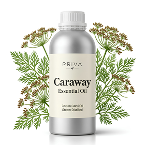 Huile essentielle de cumin biologique en vrac, distillée à la vapeur, qualité cosmétique, USDA Organic, Ecocert, vente en gros - Product Image 1