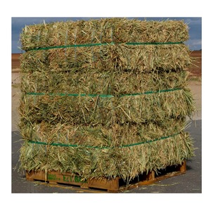Compre heno de alfalfa verde natural secado al sol con alto contenido nutricional ideal para animales de granja a granel - Product Image 2
