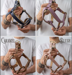 Accesorios para perros, regalo para perros Regalo de Cumpleaños personalizado Greyhound y Whippet - Product Image 2