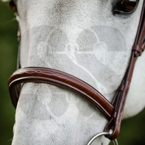 Customized High Quality PU Leather/Nylon <b>Horse</b> Bridle Classic Design Comfortable Noseband Browband Any Riding Style Custom - Product Image 4