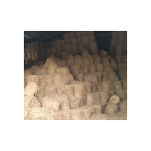 Paja de arroz para alimentación ANIMAL y producción de setas, producto prémium de Vietnam, el mejor precio en el mercado - Product Image 2