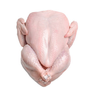 Partes del cuerpo de pollo Halal entero congelado orgánico de alta calidad Embalaje a granel Vitaminas Piezas de pollo - Product Image 2
