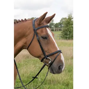 2018 venta al por mayor de alta calidad diamante caballo brida de cuero única para caballos Venta caliente - Product Image 1