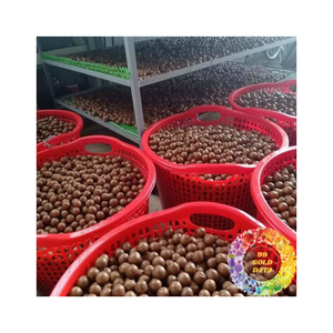 Premium Export Quality <b>Macadamia</b> <b>Nuts</b> Bulk Wholesale Supply Finest Cracked Dried Crunchy <b>Macadamia</b> <b>Nuts</b> with Affordable Pricing - Product Image 2