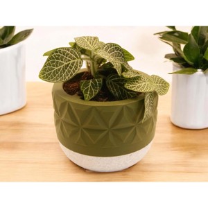 <b>Mini</b> Cork <b>Plant</b> <b>Pot</b> Shaped Flowerpot for Eco-Friendly Gardening - Product Image 6