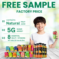 Wortelsapdrank 330ml Vietnam Fabriek Groothandel Beste Prijs Gratis Monster Gratis Ontwerp drinksaft ISO BRC KOSHER HALAL
