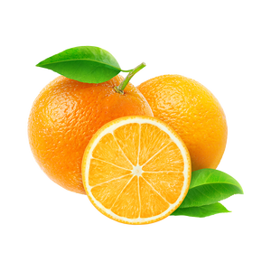 <b>Bulk</b> oranges supply for sale <b>sweet</b> and juicy perfect for snacking and beverages - Product Image 2