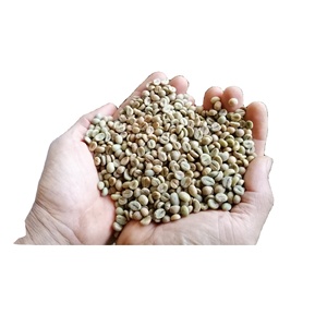 เวียดนามธรรมชาติหน้าจอ16เปียกขัดสีเขียว ROBUSTA เมล็ดกาแฟขายส่ง WHATSAP 0084989322607 - Product Image 1