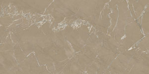 Homogenuos High Pixel conçoit des carreaux de porcelaine vitrifiés en Inde pour le hall de l'hôtel. - Product Image 4