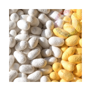 Capullos de seda ecológicos de Vietnam: sostenibles y asequibles - Product Image 1