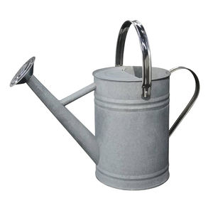 Arrosoir fait à la main design, arrosoir de décoration de jardin en métal pour exportateur en gros - Product Image 5