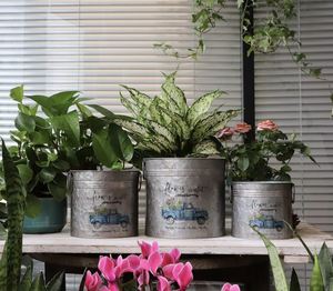 Vente en gros Jardinière galvanisée pour jardin Décoration intérieure Lot de 3 à prix abordable - Product Image 5