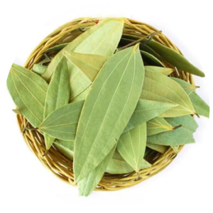 Daun kayu manis Vietnam (Cinnamomum cassia) diekspor dalam jumlah besar