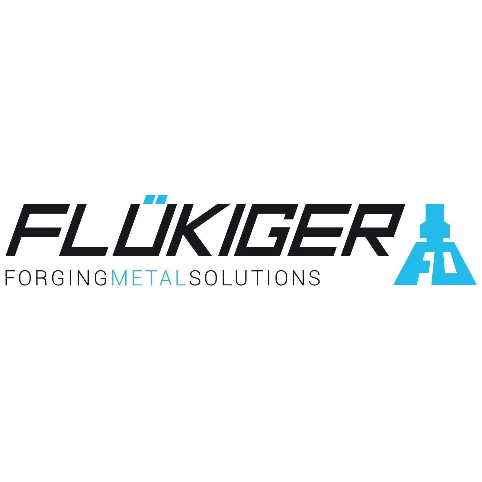 Flükiger & Co. AG logo