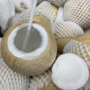 Noix de coco naturelle douce et polie au goût tropical rafraîchissant, produit agricole du Vietnam - Product Image 5