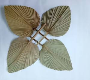 Meilleures ventes de feuilles de palmier séchées, décoration murale en feuille de palmier naturelle, décoration de mariage pour l'exportation - Product Image 5