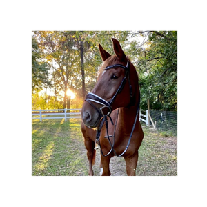 Remachadora de arroz multifuncional, - Product Image 1