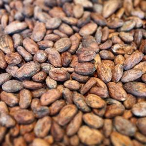 Fèves de cacao vertes de qualité supérieure, variété ARIBA, soigneusement sélectionnées pour l'exportation et le marché de gros, au goût naturel - Product Image 5