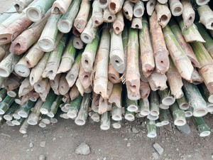 ขายโรงงานเสาเข็มพืชธรรมชาติสําหรับพืชในร่มและกลางแจ้ง - Product Image 4