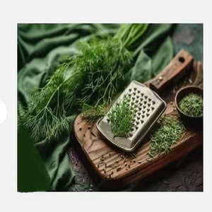 100% aceite esencial Anethi Natural puro precio al por mayor extracto de hierbas líquidas semillas cultivadas silvestres botellas a granel contenedor de vidrio - Product Image 1