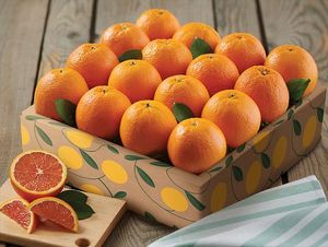 Naranjas Valencia, nueva cosecha de naranjas Navel frescas para venta al por mayor. - Product Image 2
