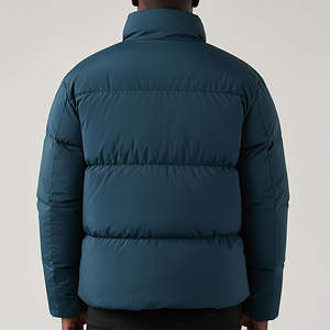 Veste matelassée pour homme de haute qualité, imperméable et coupe-vent, avec les meilleurs matériaux, prix compétitif et étiquette personnalisée - Product Image 2