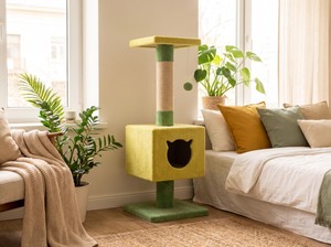 Griffoir d'intérieur Amistar Classic en jute de haute qualité à 2 niveaux, écologique, 'Lime Fairy Tale' pour chats, chatons et toutes races - Product Image 5