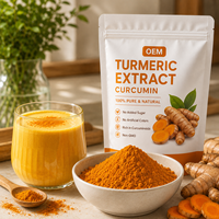 Poudre d'extrait de curcuma naturel en gros, poudre de curcumine, extrait de racine de Curcuma Longa, OEM ODM en vrac pour l'alimentation et les boissons