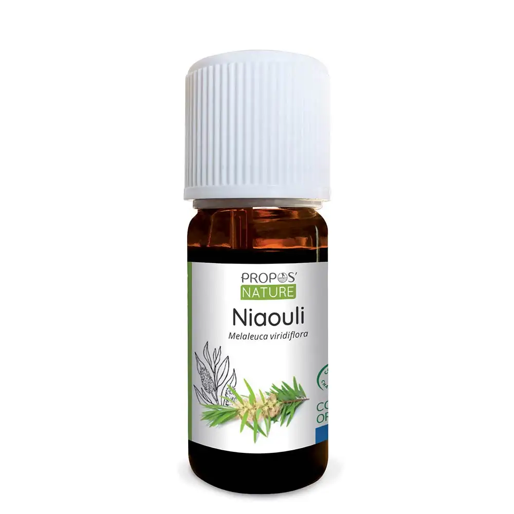 Huile essentielle NIAOULI-MELALEUCA VIRIDIFLORA-huile essentielle certifiée biologique-10 ML