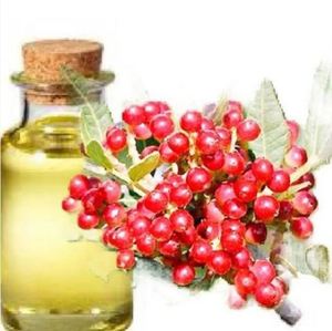 Huile essentielle de mastic de qualité supérieure pour un arôme rafraîchissant de l'exportateur indien au meilleur prix bas Huile essentielle de mastic - Product Image 1