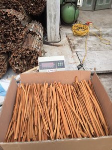 Bâtons de cannelle séchés purs et biologiques Spécialité Nord-Ouest du Nord Vietnam/ Mr. Kevin - Product Image 2