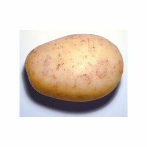 Export Frozen French Fries Frozen <strong>Potato</strong> Frozen Finger <strong>Chips</strong> <strong>chips</strong> Semi-finished Fresh <strong>potato</strong> Strips / Fresh Frozen <strong>potatoes</strong>