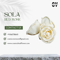 Harga Grosir Pabrik Mawar Sola Wood Bud Ramah Lingkungan, Mirip Asli, Berkualitas Tinggi, Serbaguna, Elemen Dekorasi Indoor/Outdoor, Halloween
