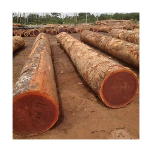 Affordable merbau <b>logs</b> supplied in bulk with reliable worldwide delivery - Product Image 2