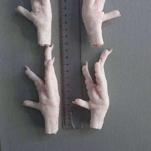 Patas de Pollo Halal Congeladas de Alta Calidad, Frescas y Congeladas para la Venta al por Mayor - Product Image 1