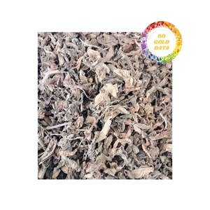 Bulk <b>Black</b> Grass Jelly Leaves Export From Viet Nam Direct Supply Large Quantity Fresh Premium Quality Leaves Available - Product Image 5