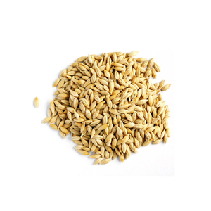 Exportation d'orge maltée séchée de haute qualité pour l'alimentation animale Origine autrichienne - Product Image 1