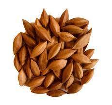 Noix pili biologiques de qualité supérieure à vendre - Product Image 3