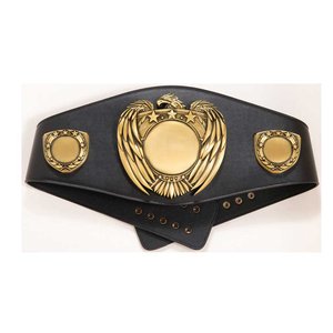 Ceintures de championnat de haute qualité MMA boxe lutte Muay Thai coup de pied boxe médailles médailles marque emballage personnalisé unisexe ceintures vierges - Product Image 2